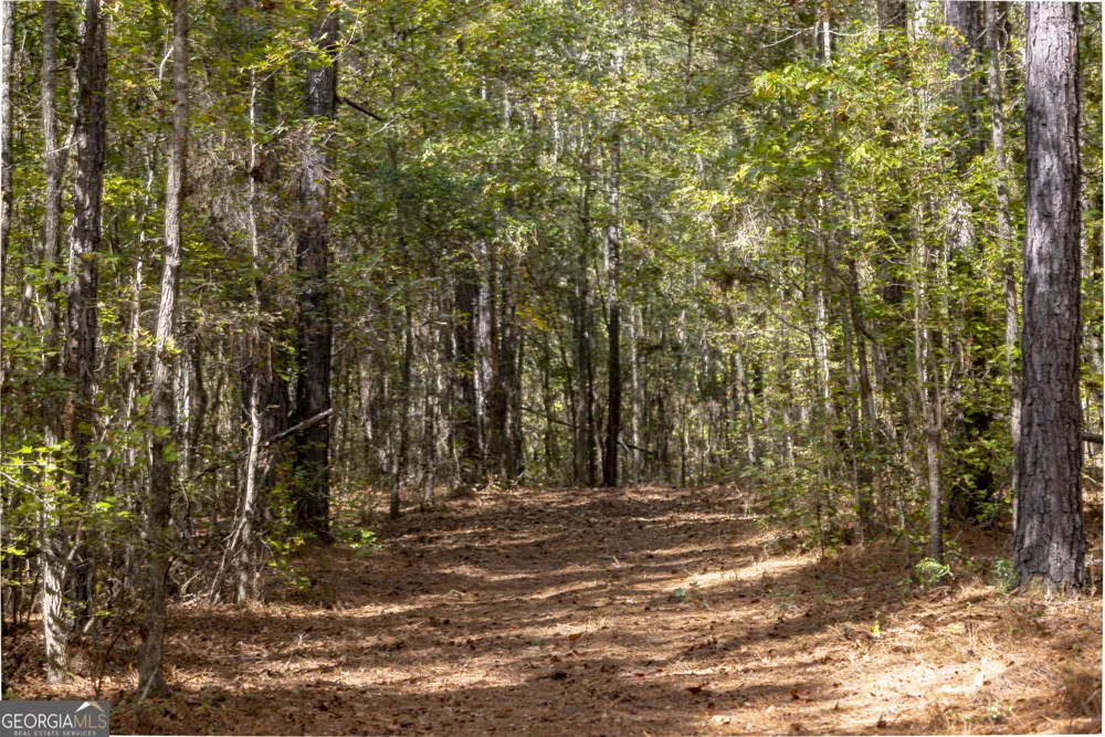 2690 E Lawson Merritt RD Fort Valley, GA 31030