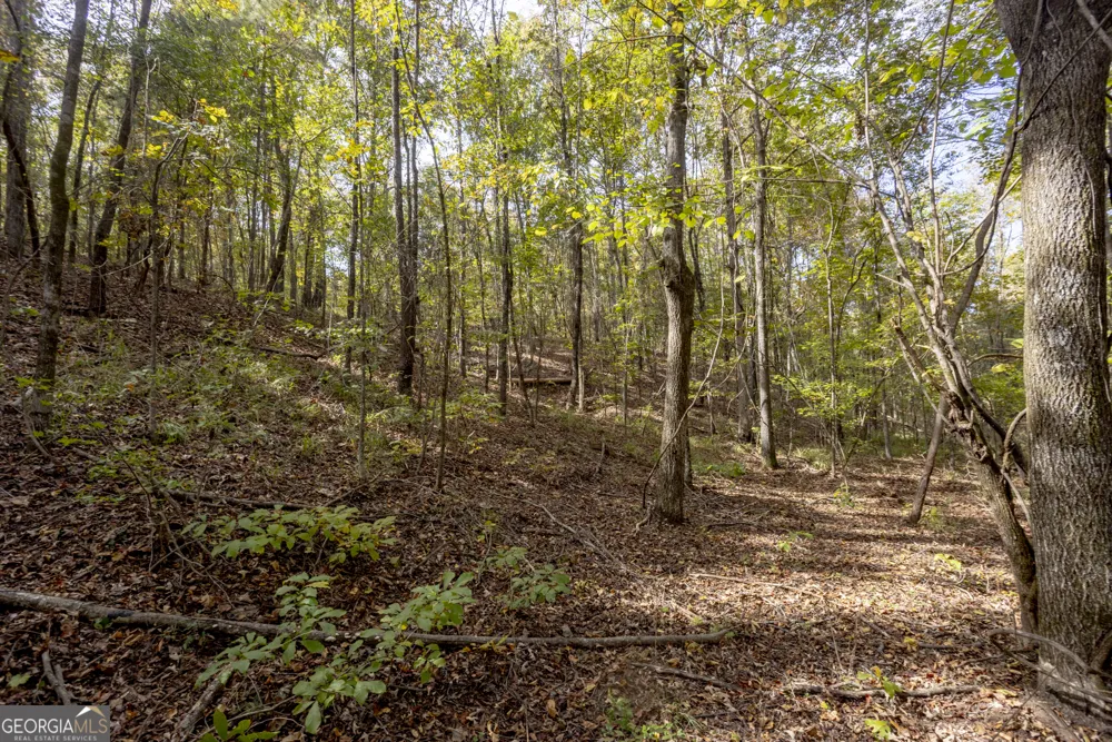 2690 E Lawson Merritt RD Fort Valley, GA 31030