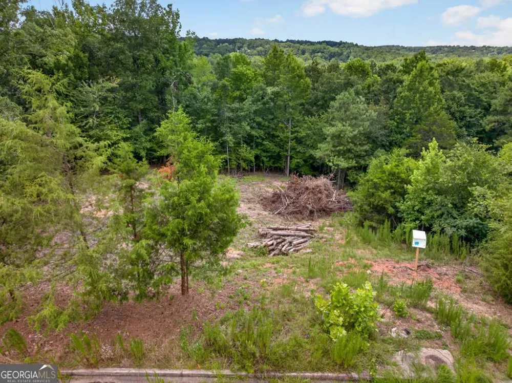 4024 Paulette DR Monroe, GA 30656