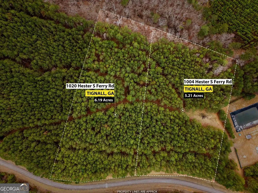 1004 Hesters Ferry RD Tignall, GA 30668