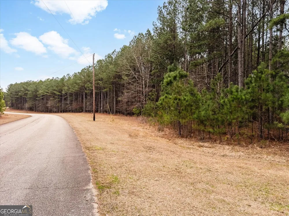 1004 Hesters Ferry RD Tignall, GA 30668