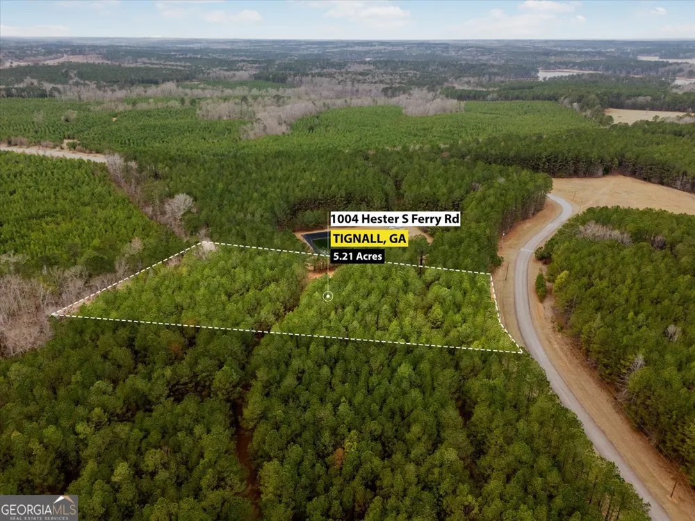 1004 Hesters Ferry RD Tignall, GA 30668
