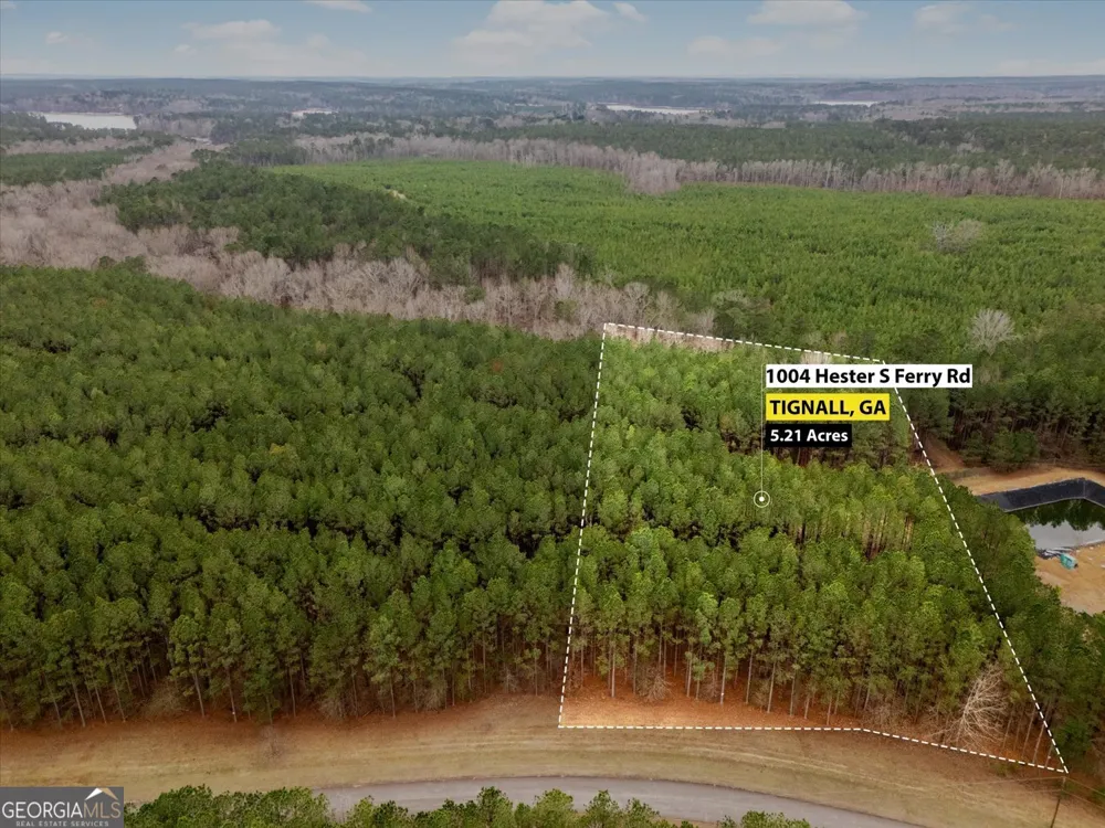 1004 Hesters Ferry RD Tignall, GA 30668