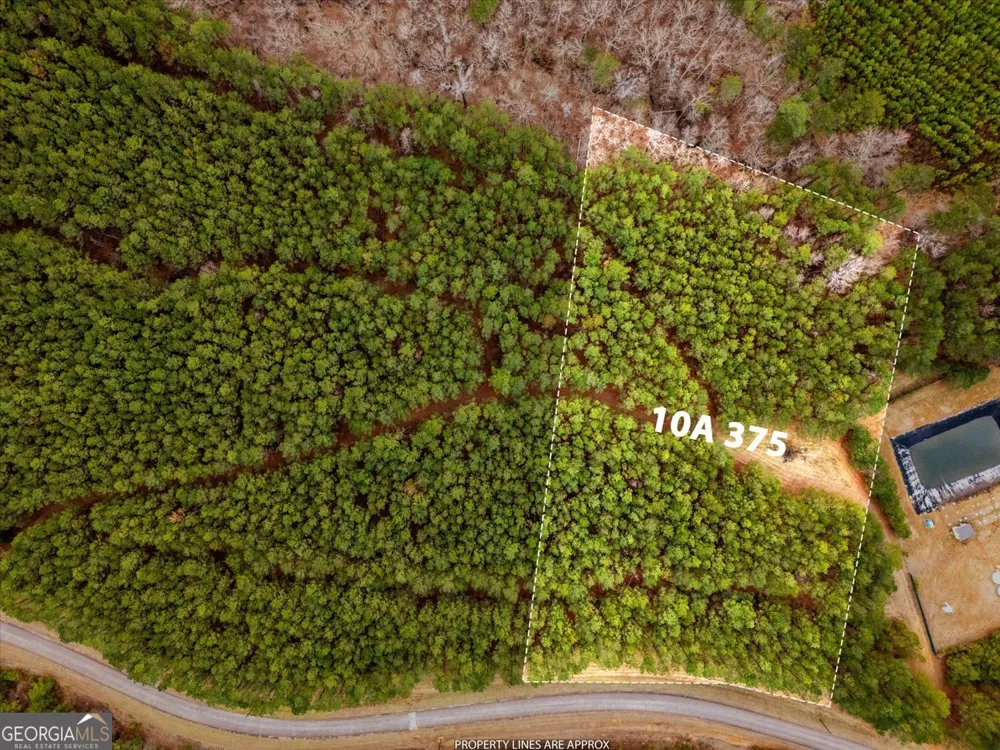 1004 Hesters Ferry RD Tignall, GA 30668