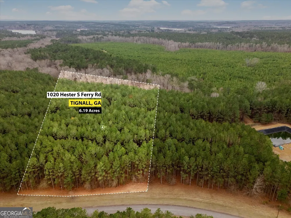 1020 Hesters Ferry RD Tignall, GA 30668