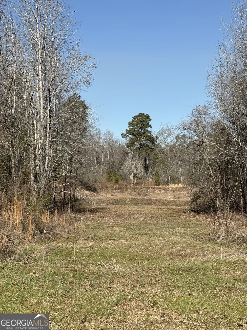 9694 Broad ST Avera, GA 30803