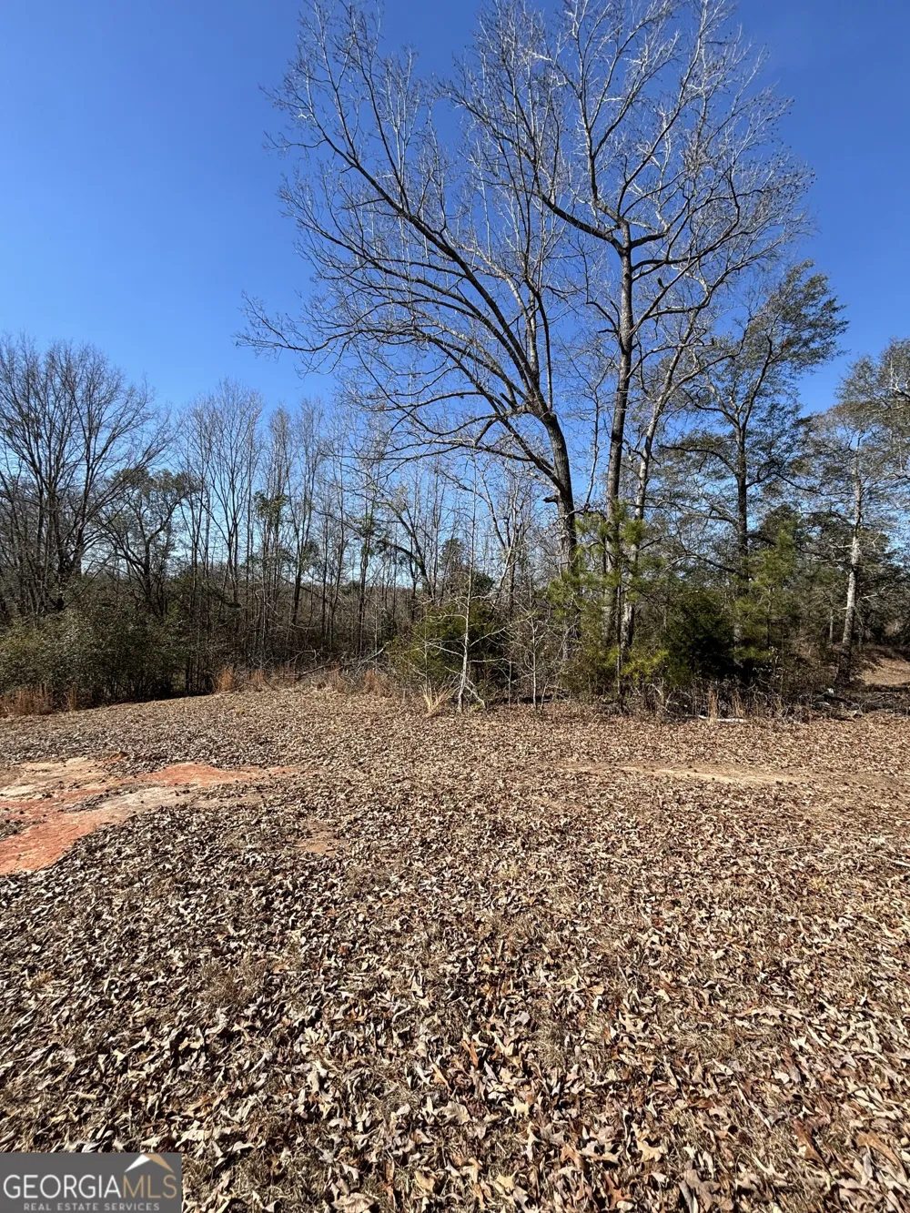 9694 Broad ST Avera, GA 30803