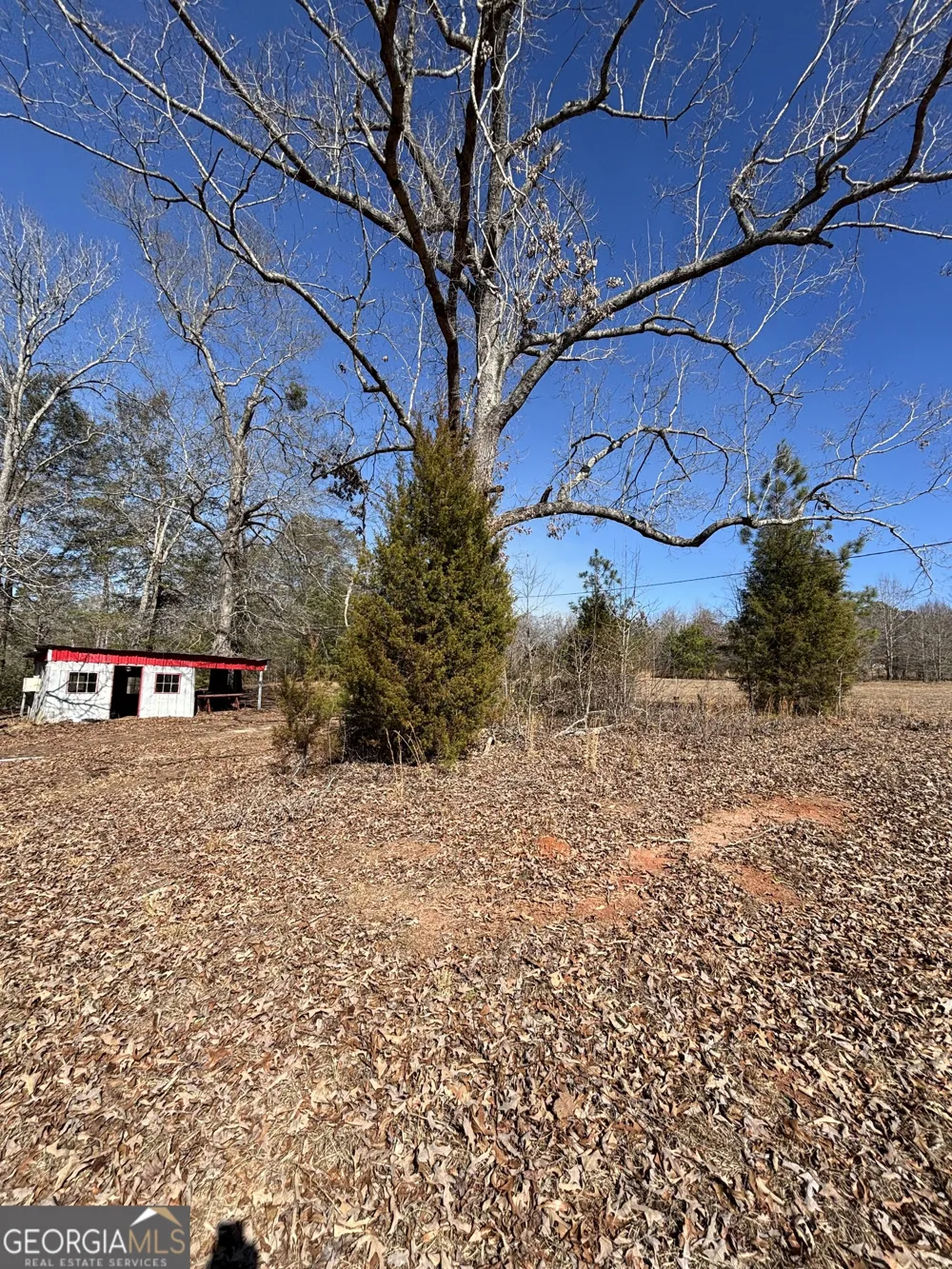 9694 Broad ST Avera, GA 30803
