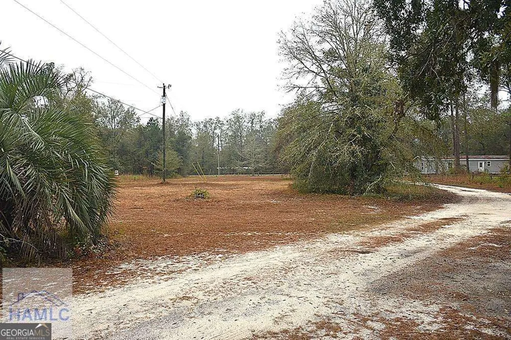1000 Barrett Cemetery RD NE Ludowici, GA 31316