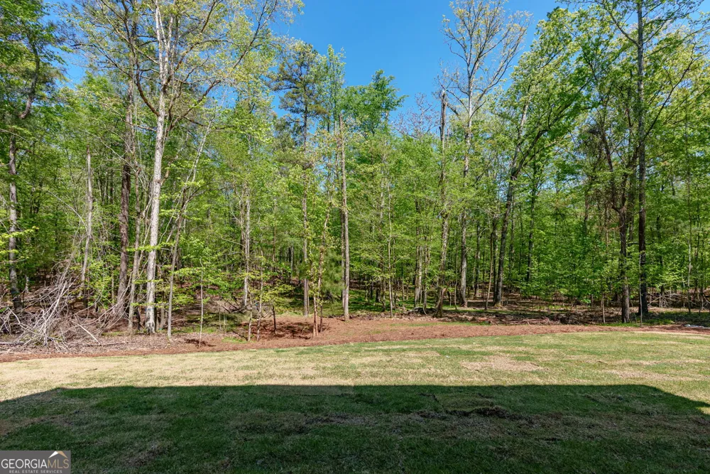 1031 Shadow Creek WAY Greensboro, GA 30642