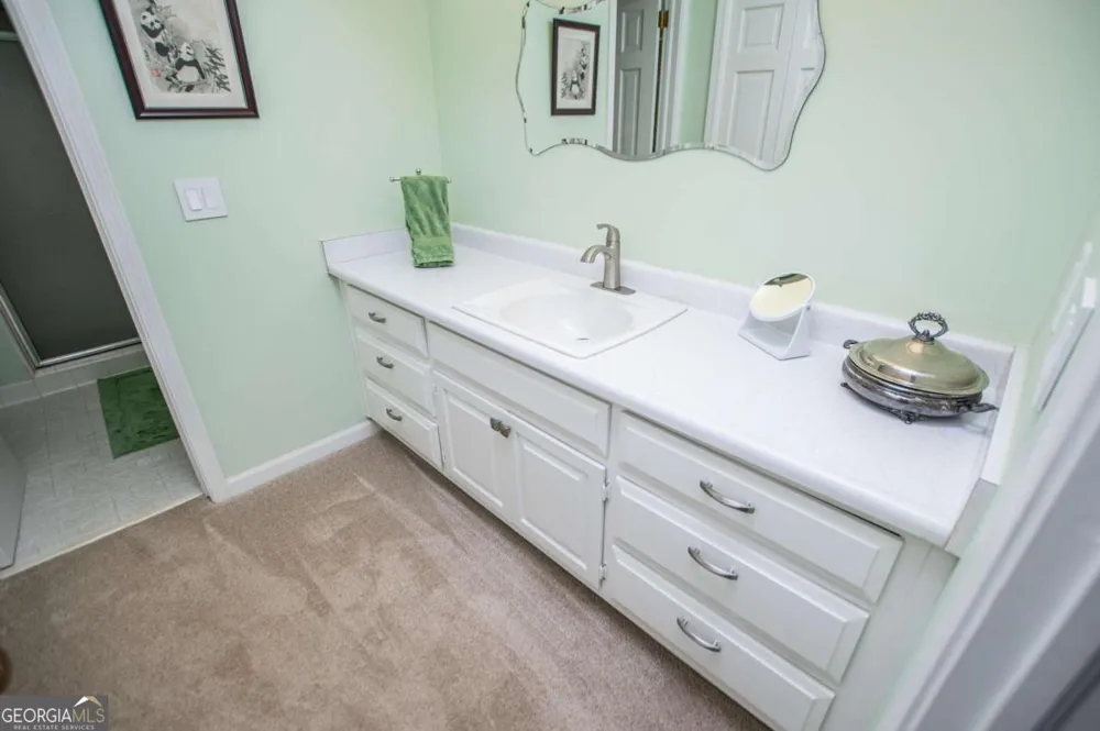 203 S Ole Hickory TRL Carrollton, GA 30117