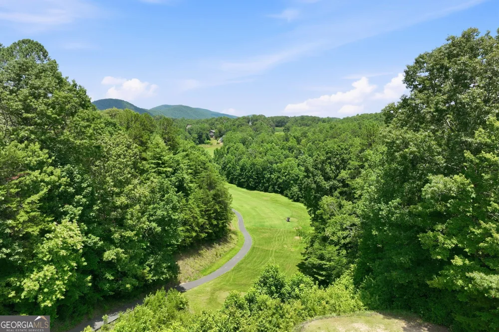 84 Schwarzwald Strasse Helen, GA 30545