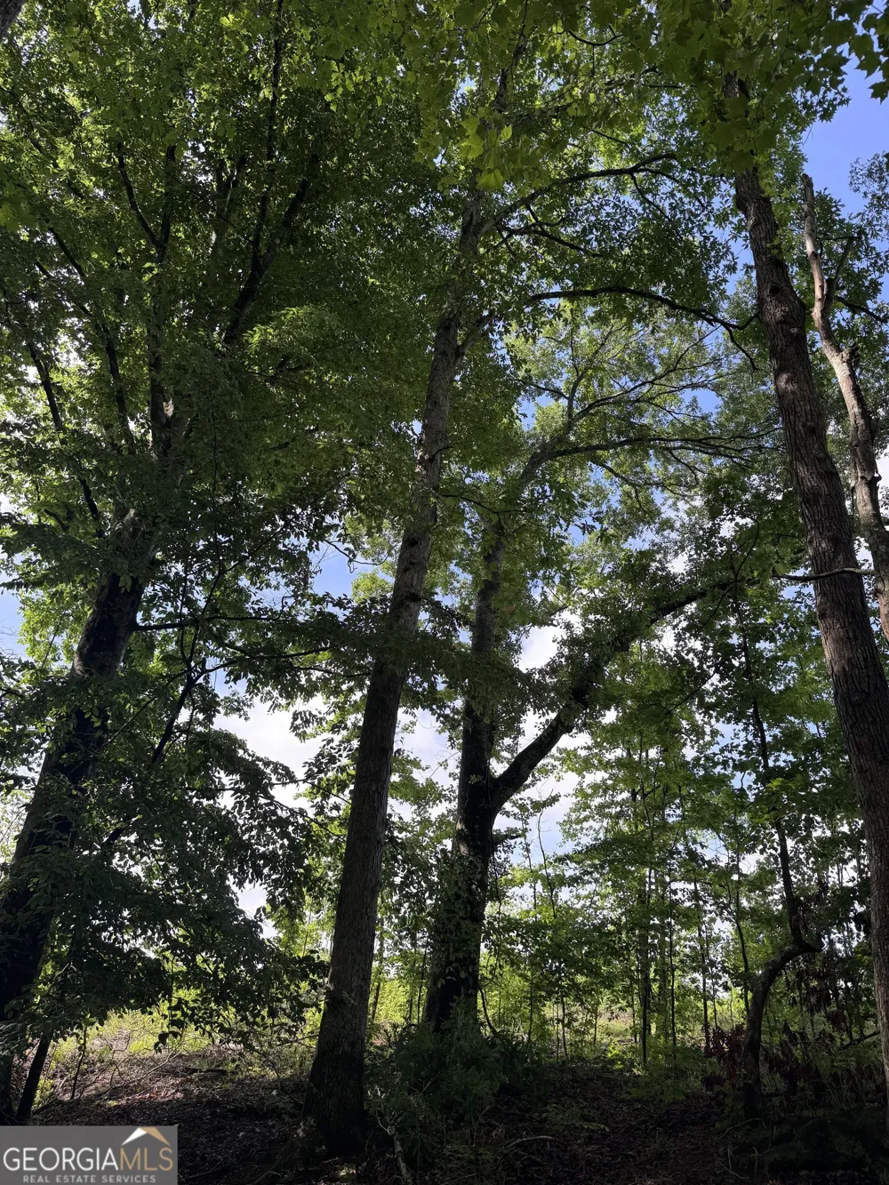 0 Po Biddy RD Thomaston, GA 30286