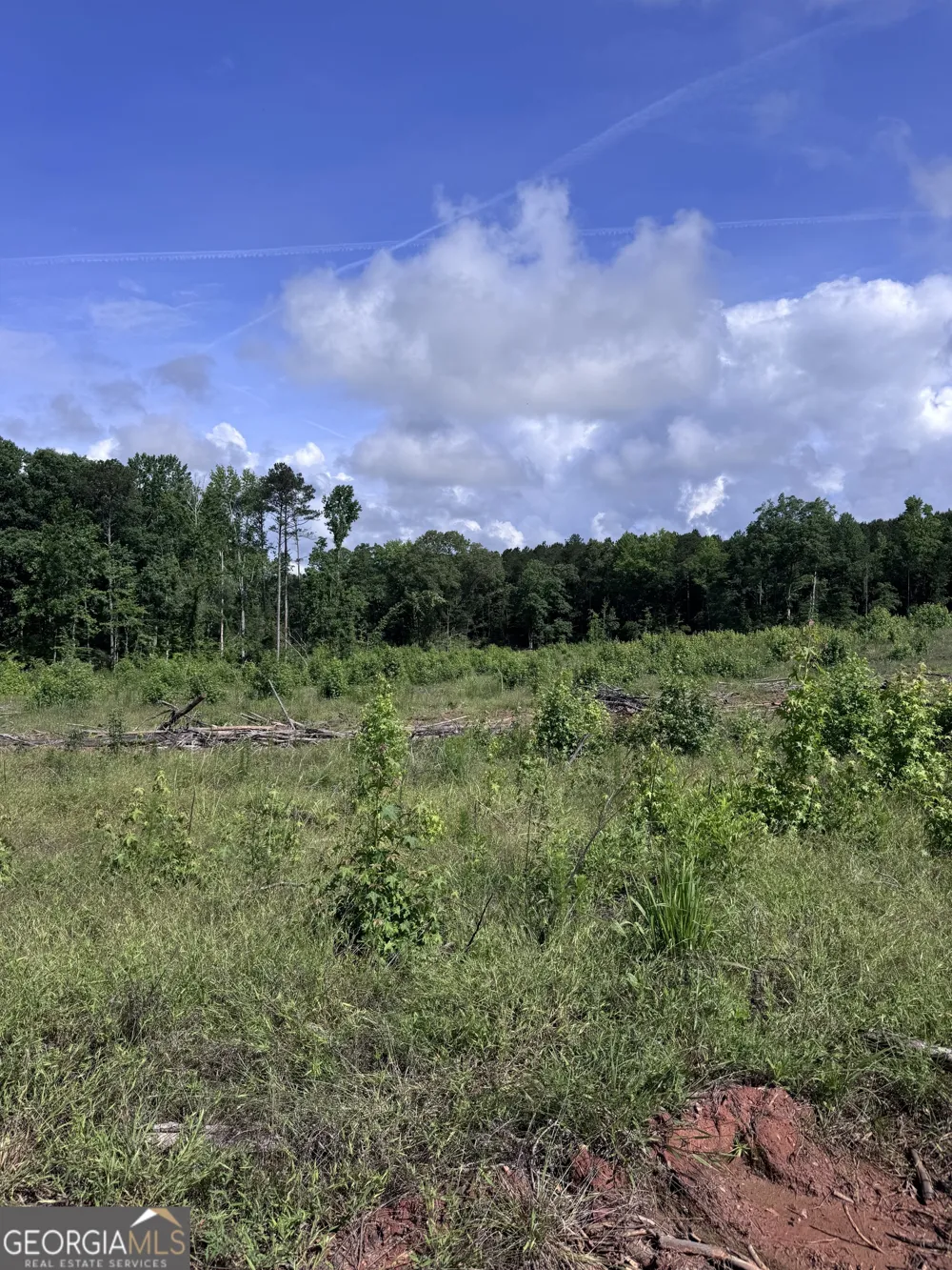 0 Po Biddy RD Thomaston, GA 30286
