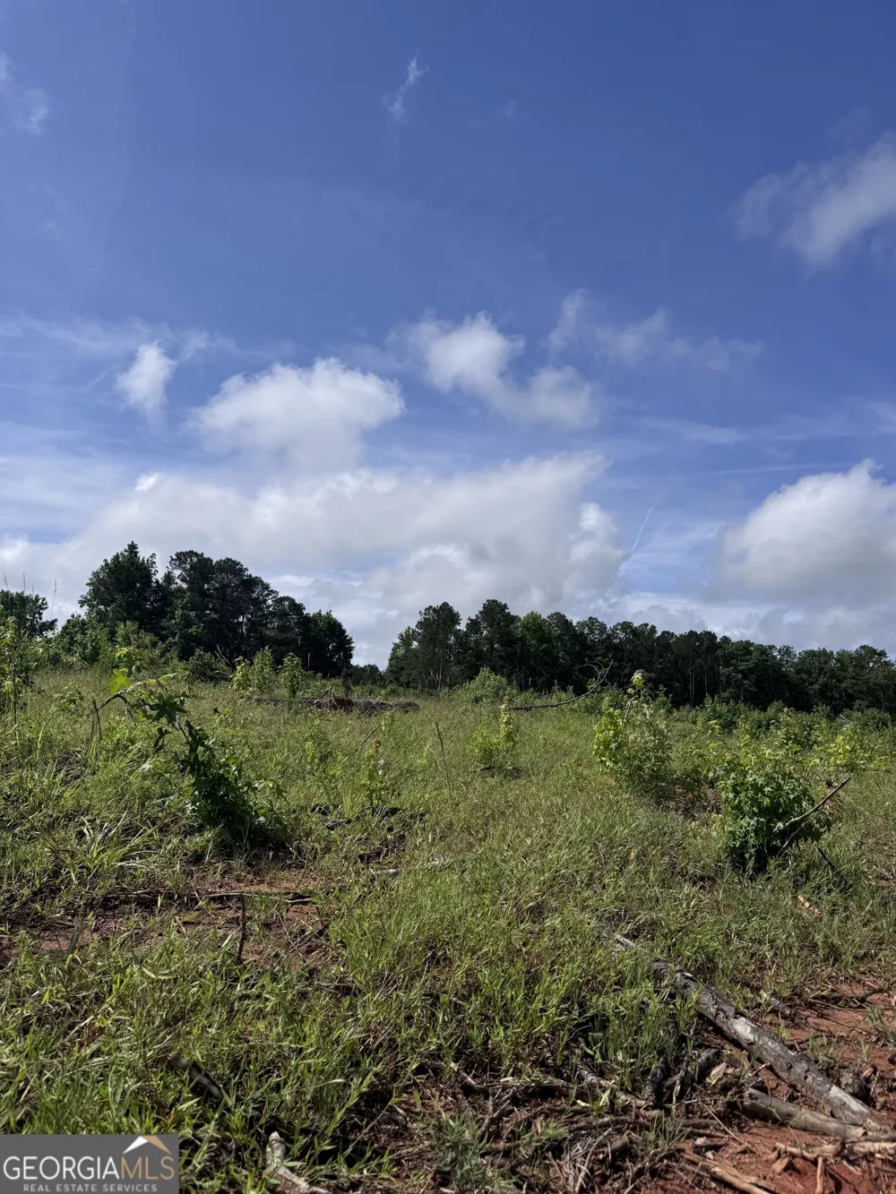 0 Po Biddy RD Thomaston, GA 30286