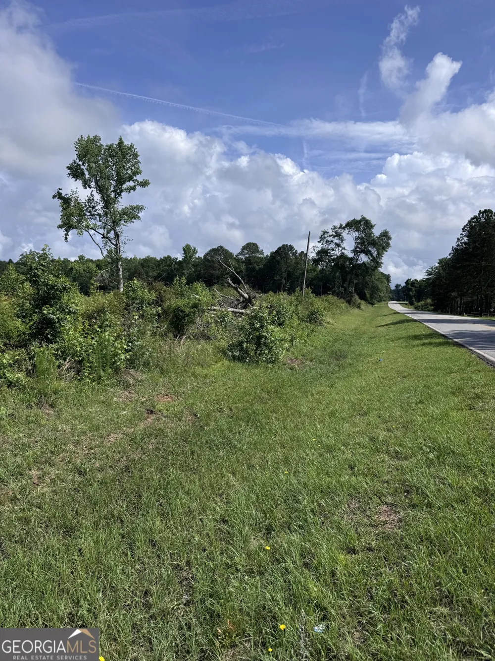 0 Po Biddy RD Thomaston, GA 30286