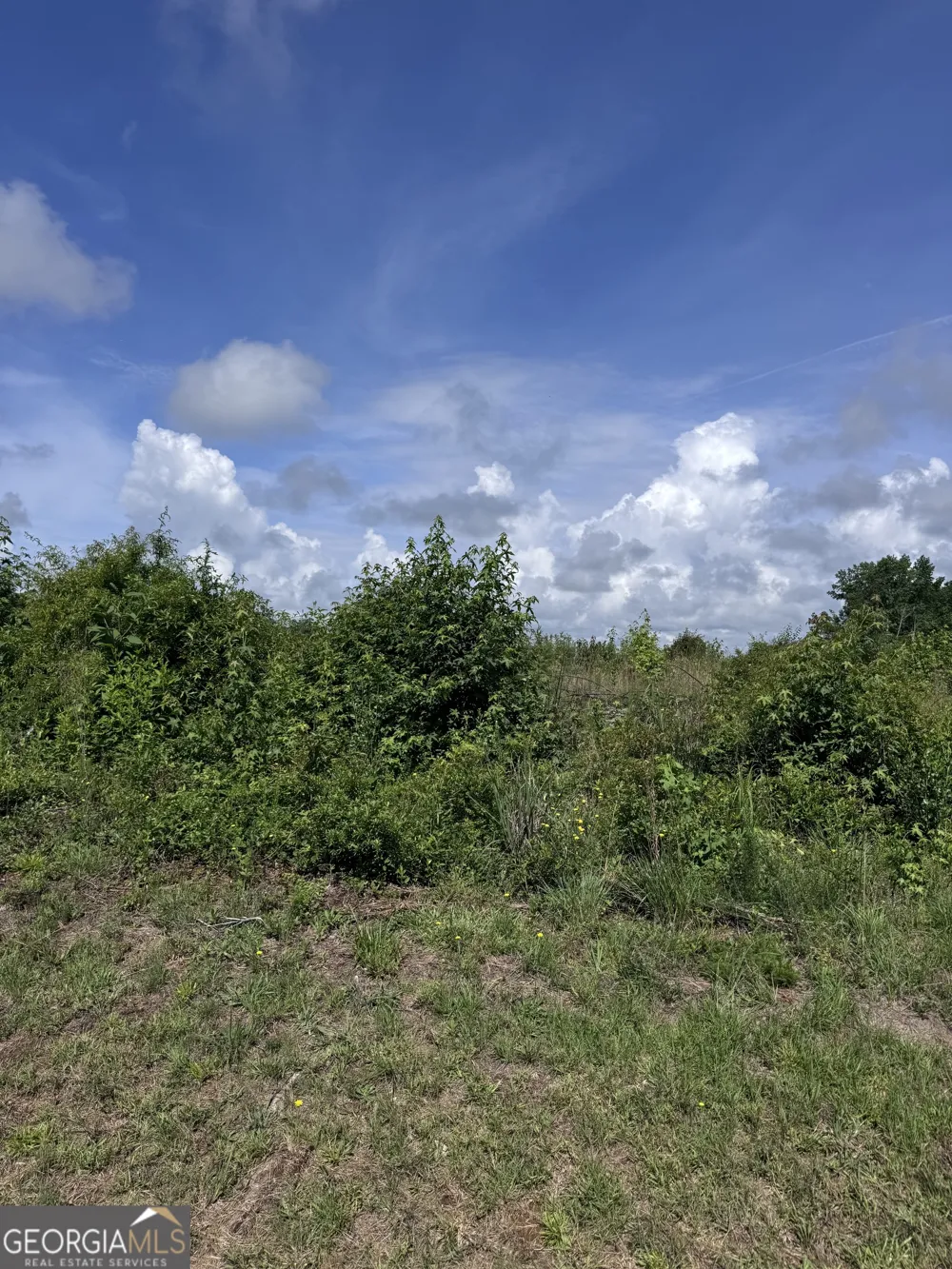 0 Po Biddy RD Thomaston, GA 30286