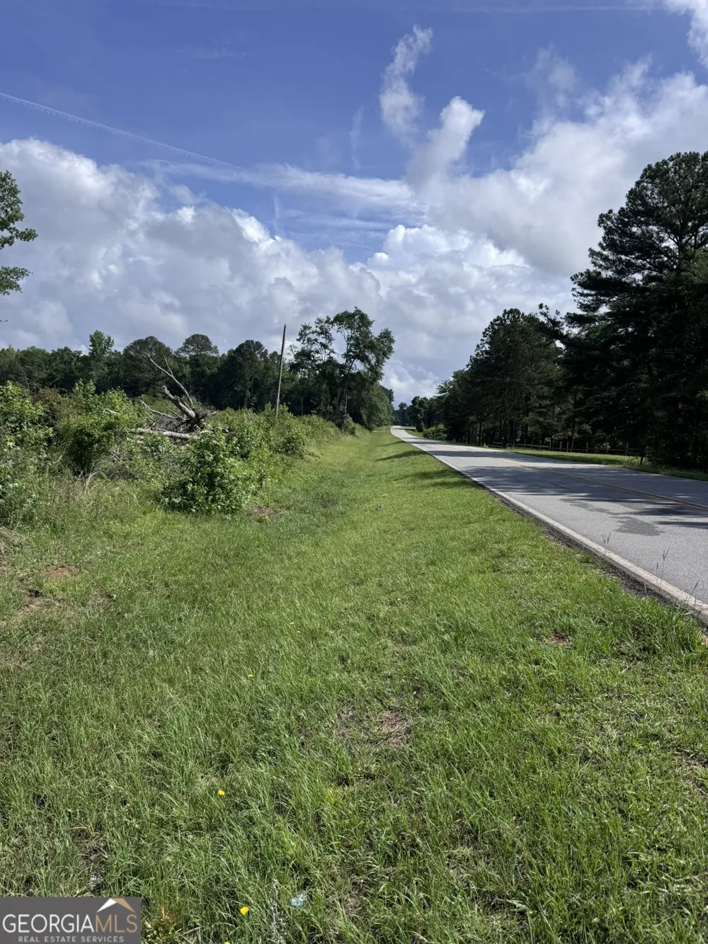 0 Po Biddy RD Thomaston, GA 30286