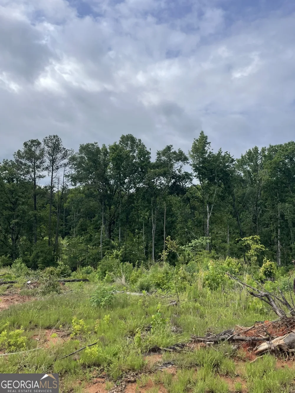 0 Po Biddy RD Thomaston, GA 30286