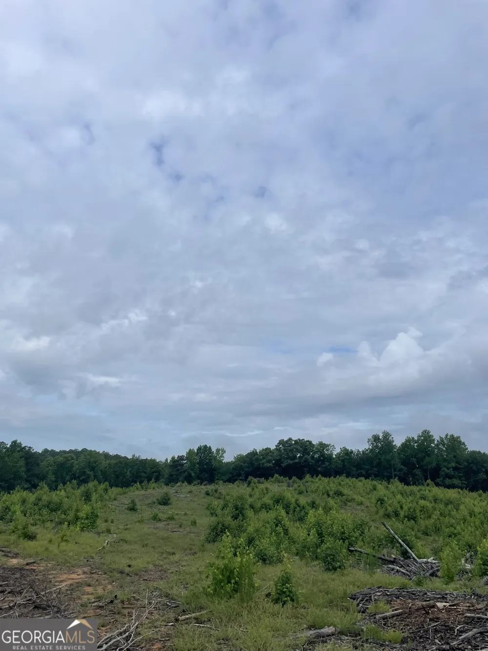 0 Po Biddy RD Thomaston, GA 30286