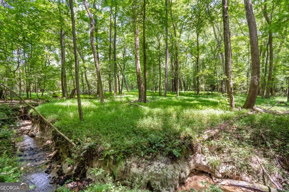 533 Mulberry RD Winder, GA 30680