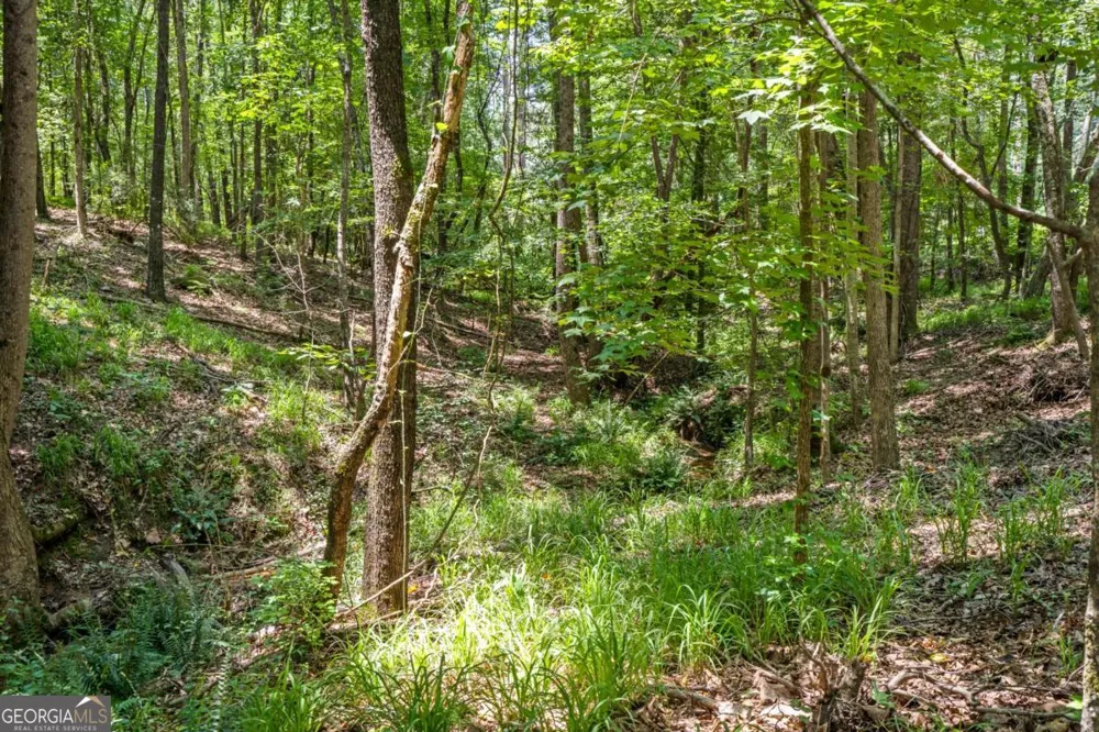 533 Mulberry RD Winder, GA 30680
