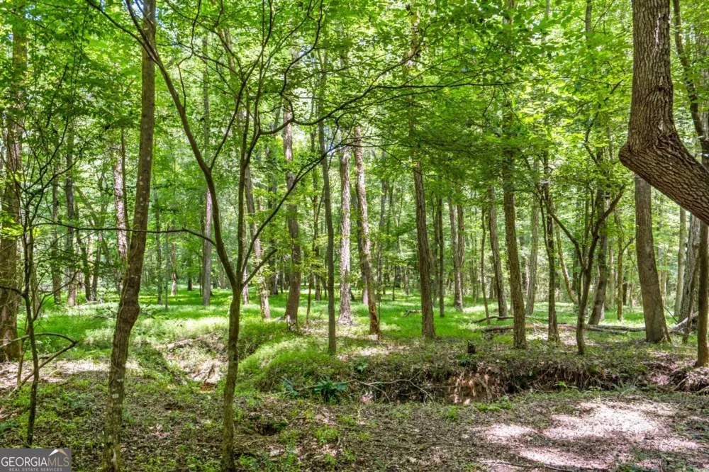 533 Mulberry RD Winder, GA 30680