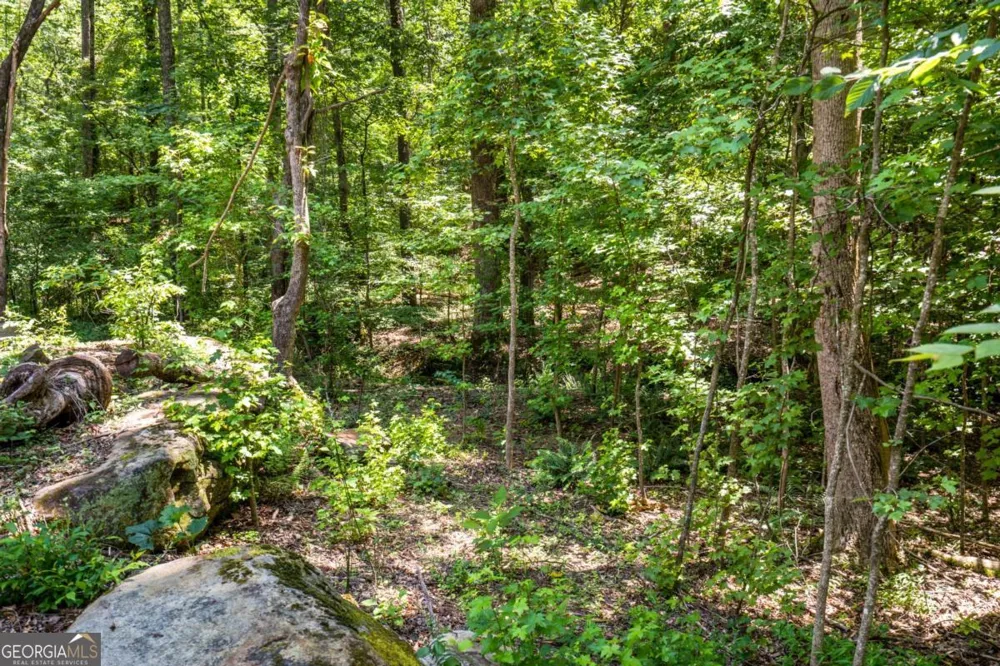 533 Mulberry RD Winder, GA 30680