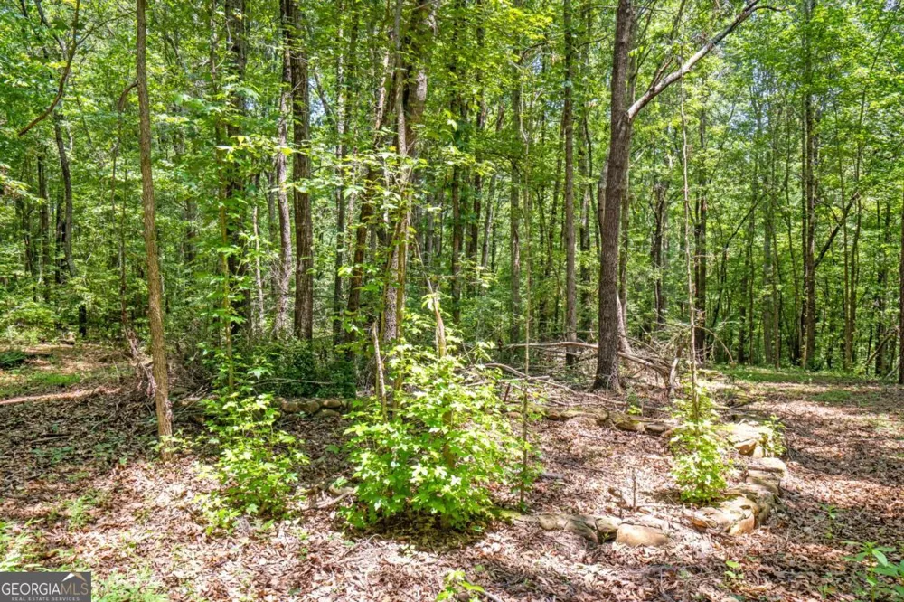 533 Mulberry RD Winder, GA 30680