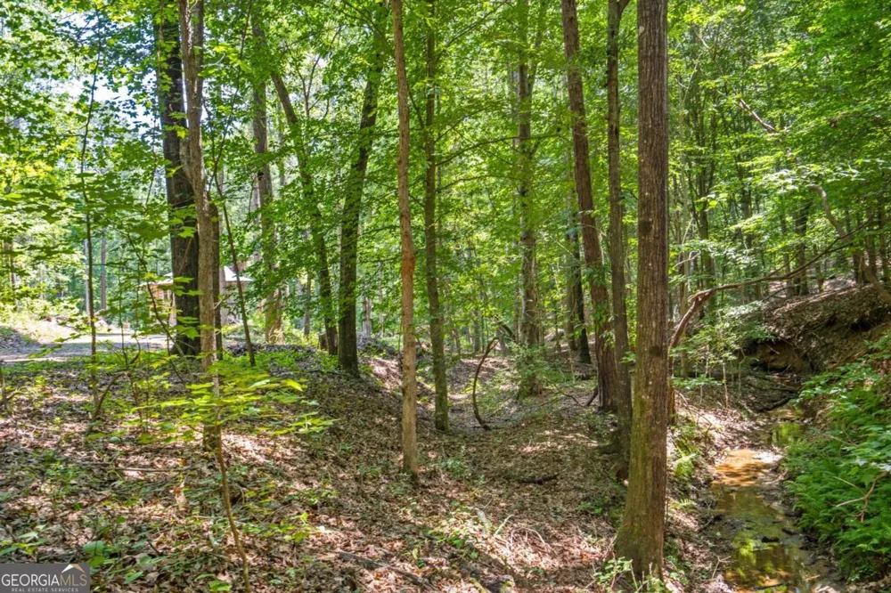 533 Mulberry RD Winder, GA 30680