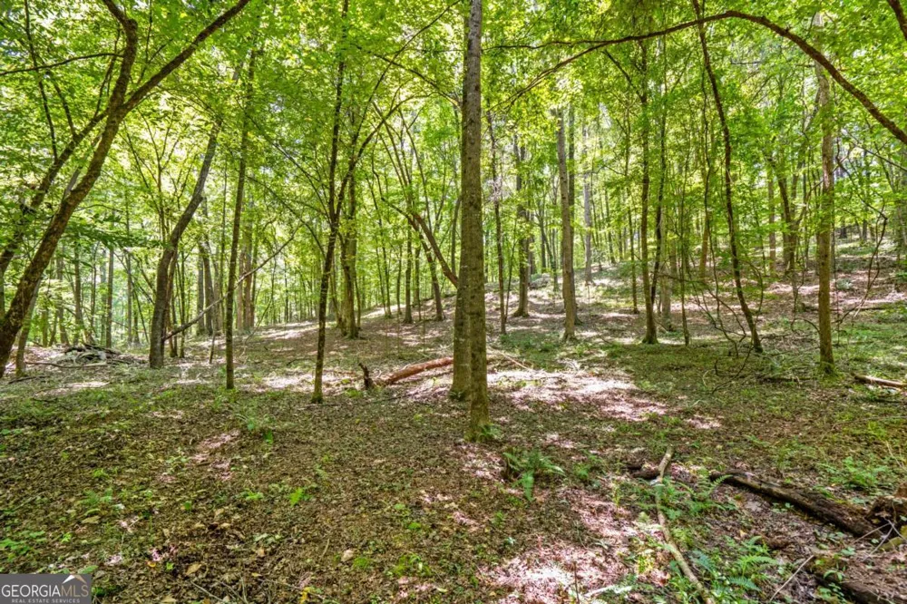 533 Mulberry RD Winder, GA 30680