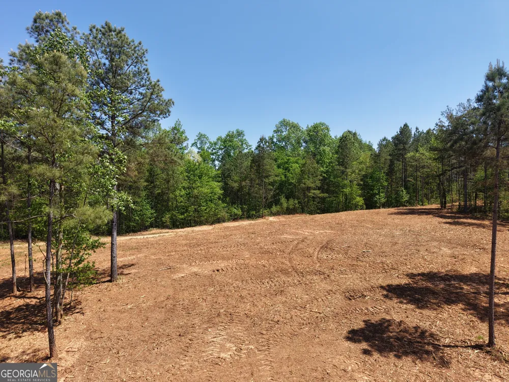 0 Ryo Mountain RD Fairmount, GA 30139
