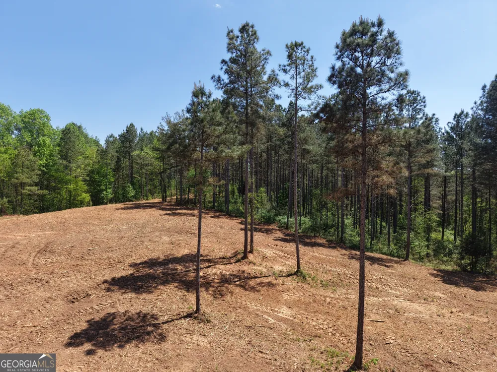 0 Ryo Mountain RD Fairmount, GA 30139
