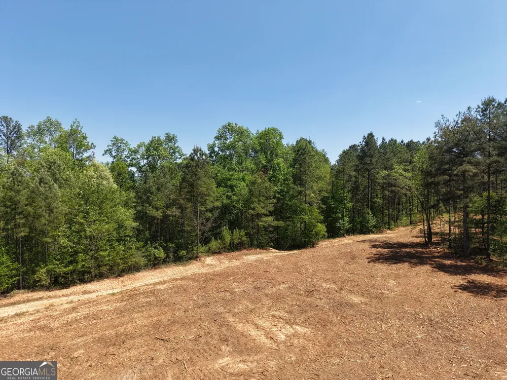 0 Ryo Mountain RD Fairmount, GA 30139