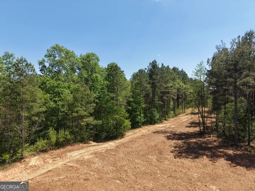 0 Ryo Mountain RD Fairmount, GA 30139