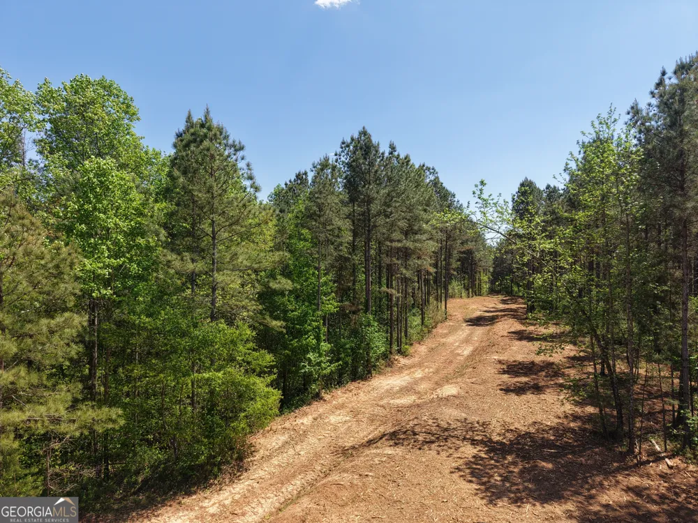 0 Ryo Mountain RD Fairmount, GA 30139