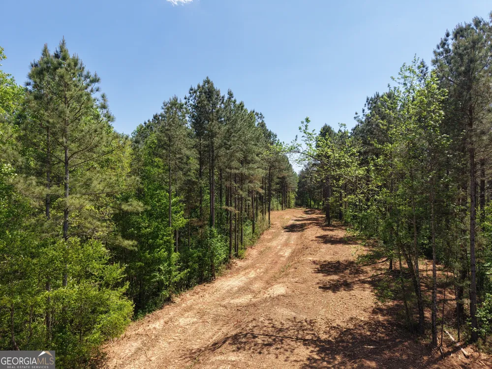 0 Ryo Mountain RD Fairmount, GA 30139