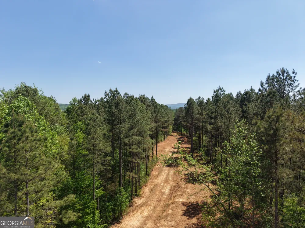 0 Ryo Mountain RD Fairmount, GA 30139