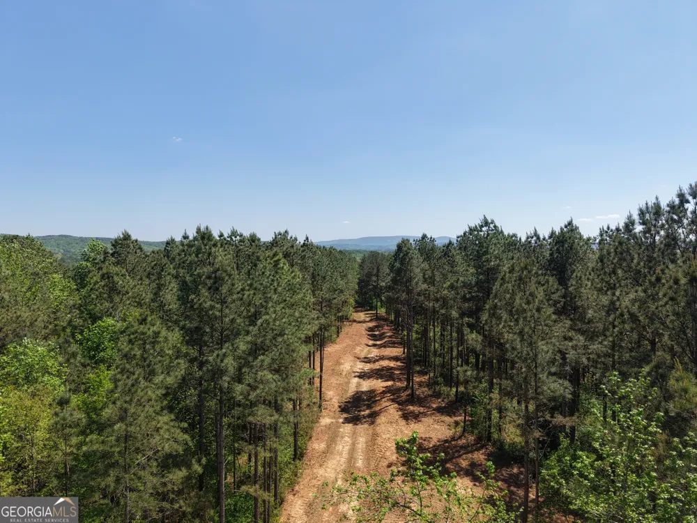 0 Ryo Mountain RD Fairmount, GA 30139
