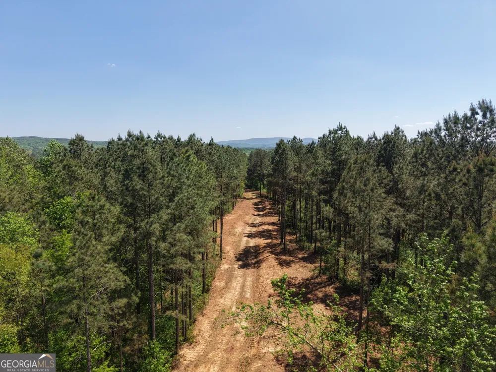 0 Ryo Mountain RD Fairmount, GA 30139