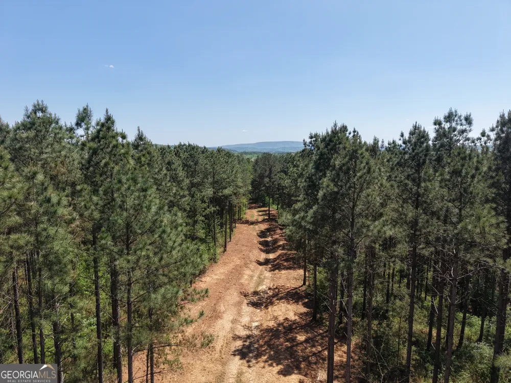 0 Ryo Mountain RD Fairmount, GA 30139