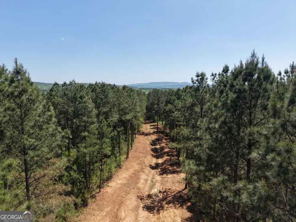 0 Ryo Mountain RD Fairmount, GA 30139