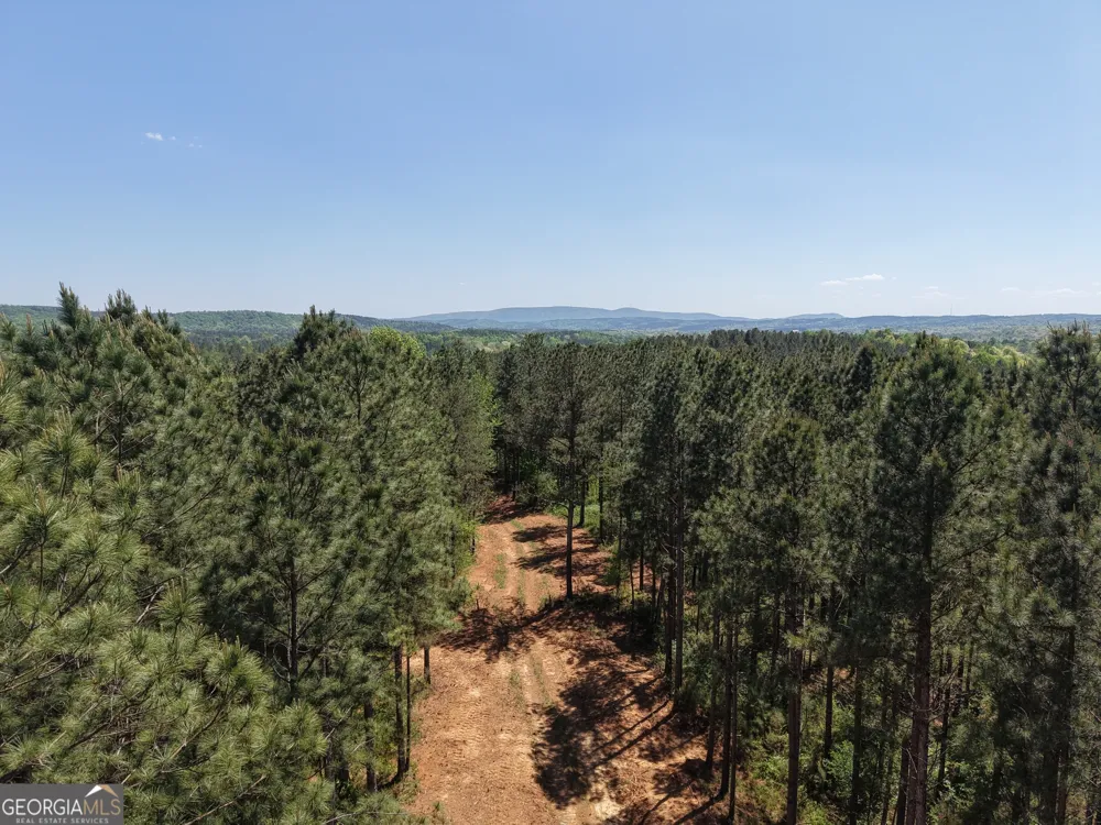 0 Ryo Mountain RD Fairmount, GA 30139