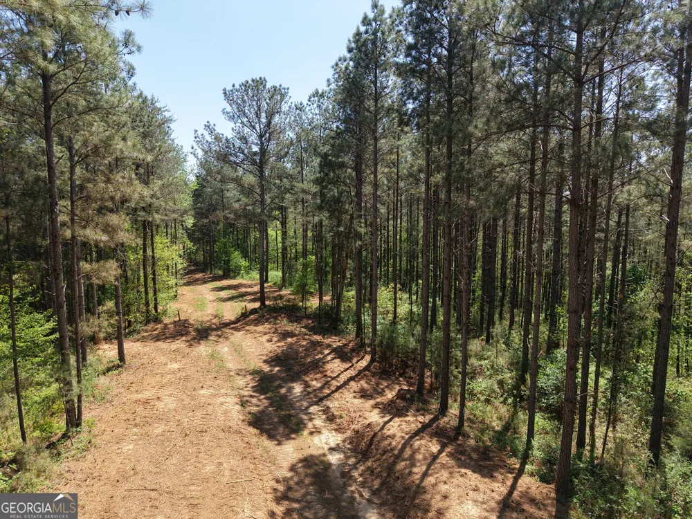 0 Ryo Mountain RD Fairmount, GA 30139