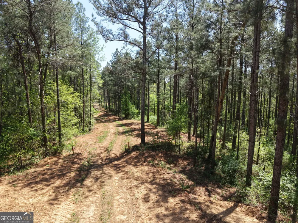 0 Ryo Mountain RD Fairmount, GA 30139