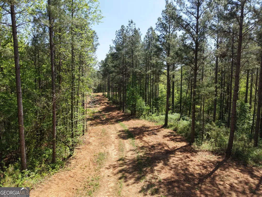 0 Ryo Mountain RD Fairmount, GA 30139