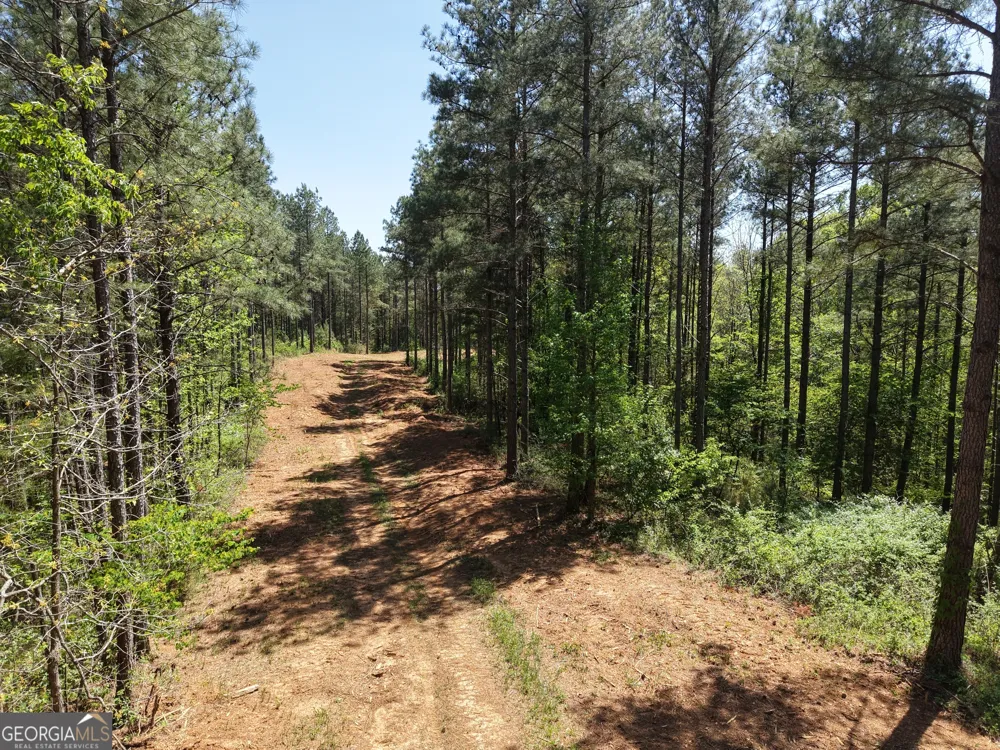 0 Ryo Mountain RD Fairmount, GA 30139