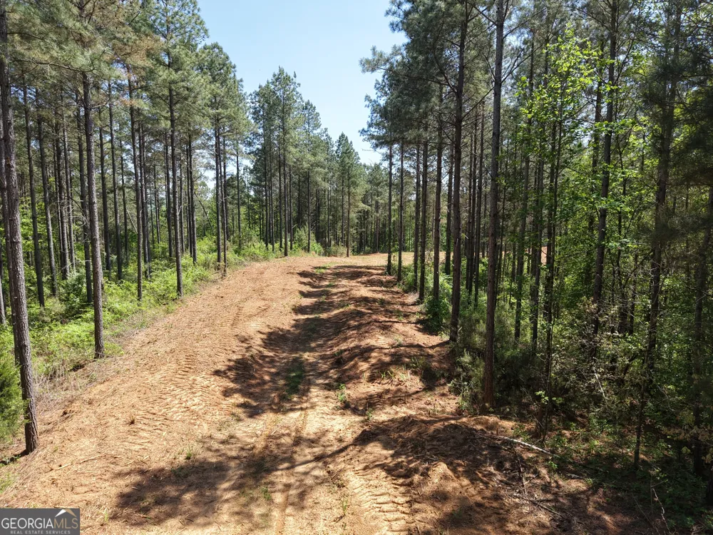 0 Ryo Mountain RD Fairmount, GA 30139