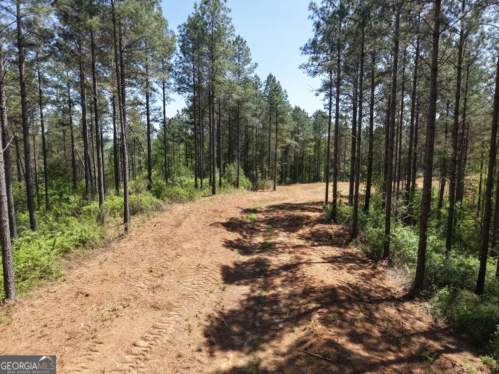 0 Ryo Mountain RD Fairmount, GA 30139