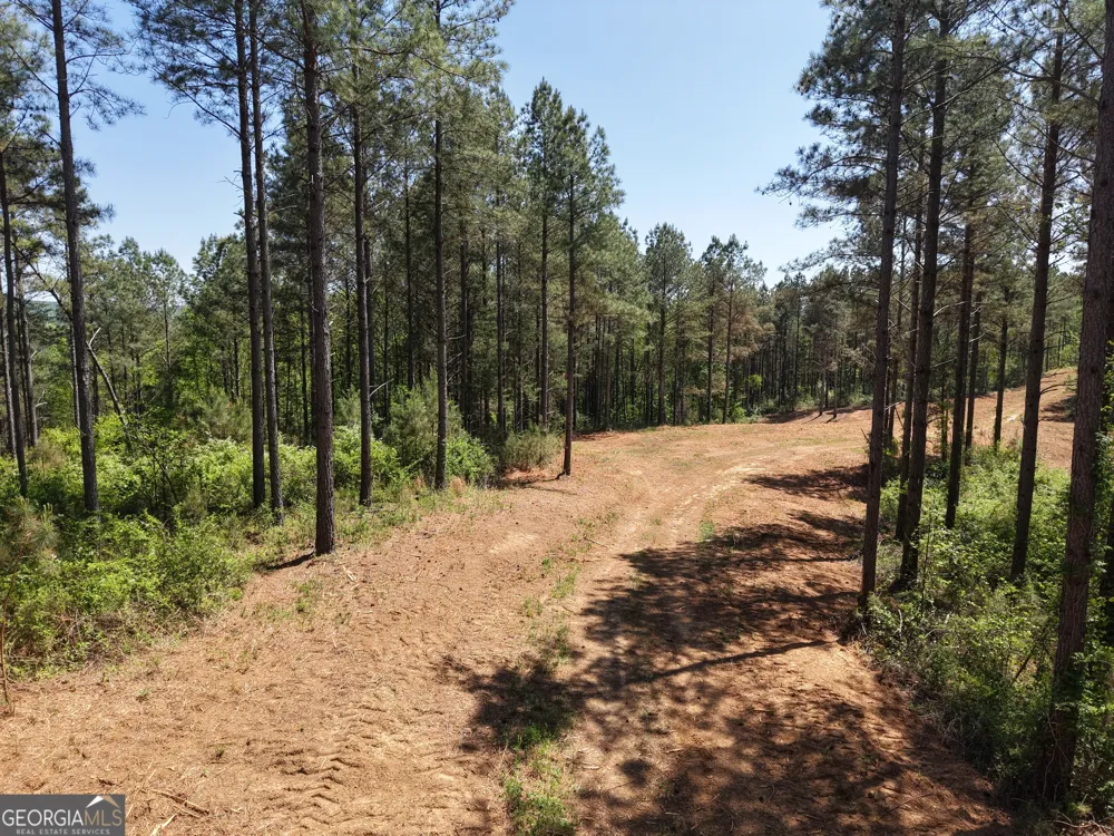 0 Ryo Mountain RD Fairmount, GA 30139